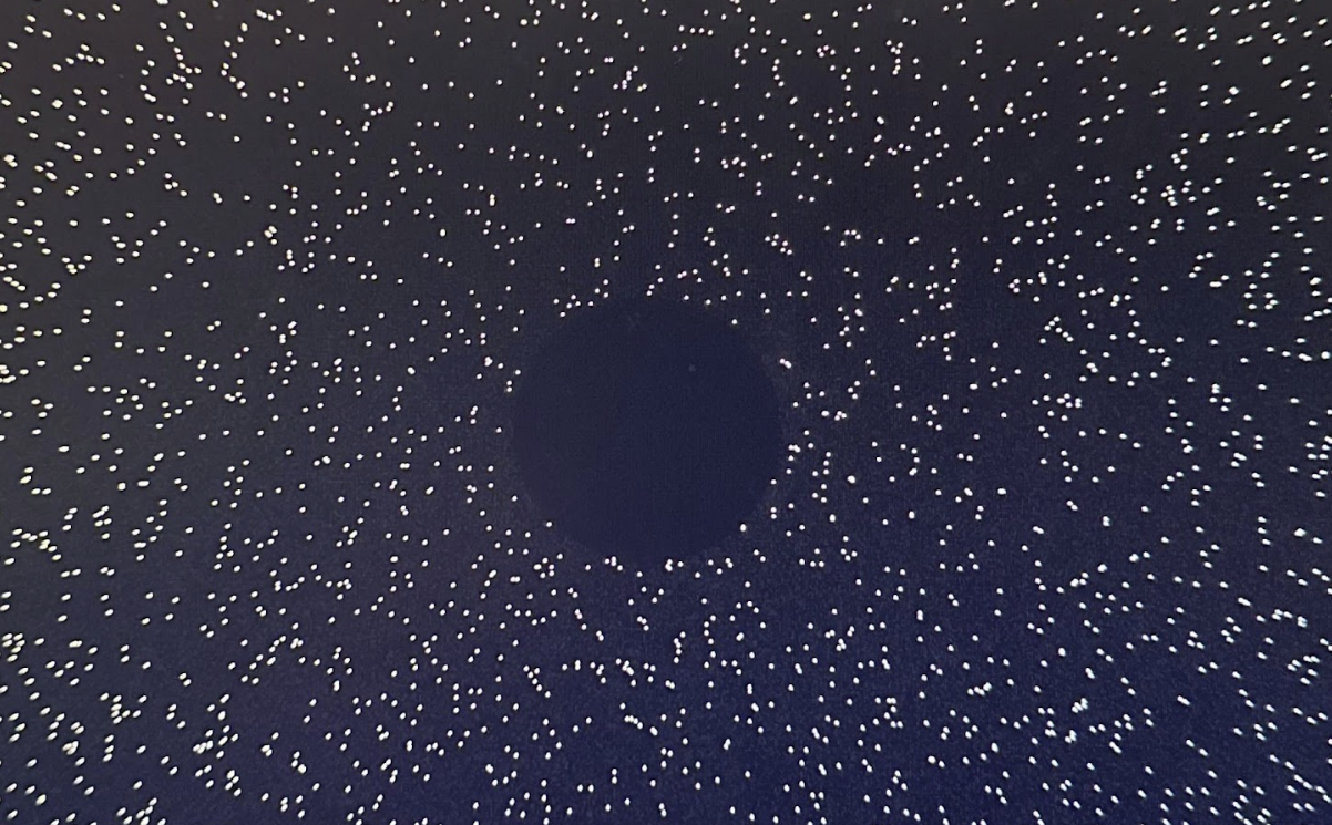 Noise Background w/ Black hole